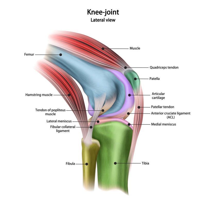 Knee pain - how to manage